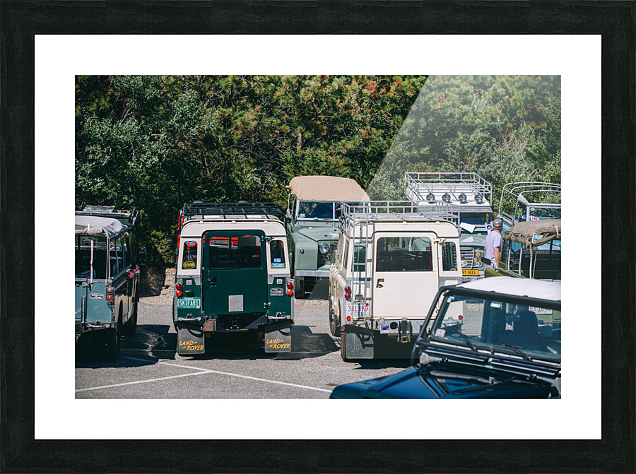 SF1A0956 Picture Frame print