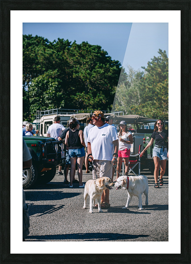 SF1A0916 Picture Frame print