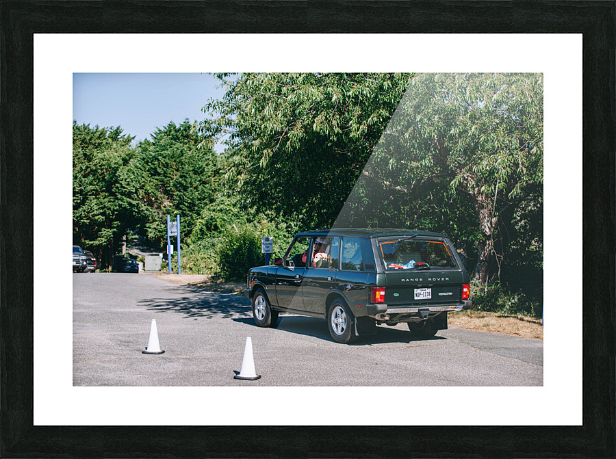 SF1A0899 Picture Frame print
