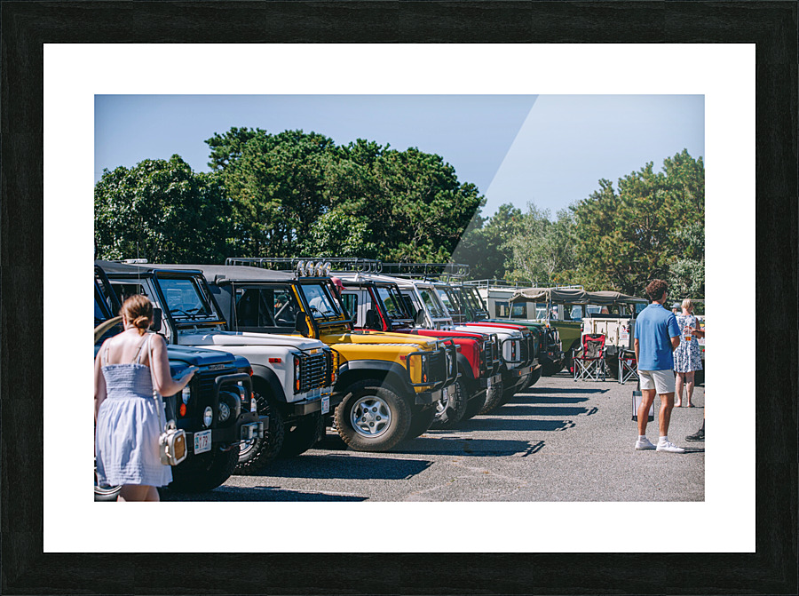 SF1A0949 Picture Frame print