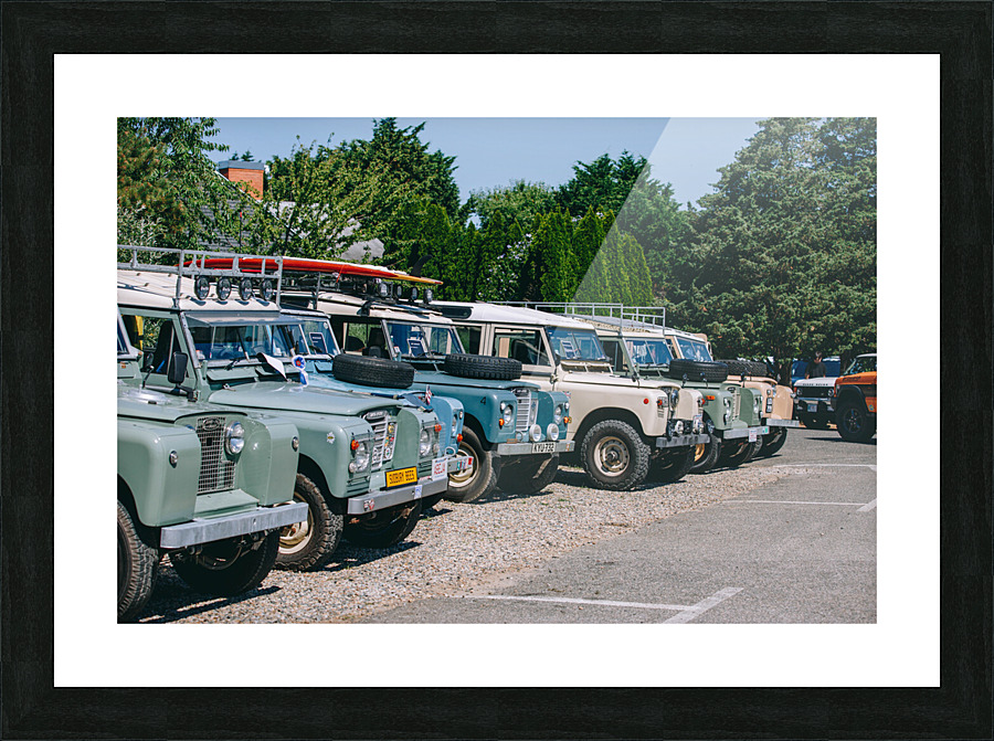 SF1A0978 Picture Frame print