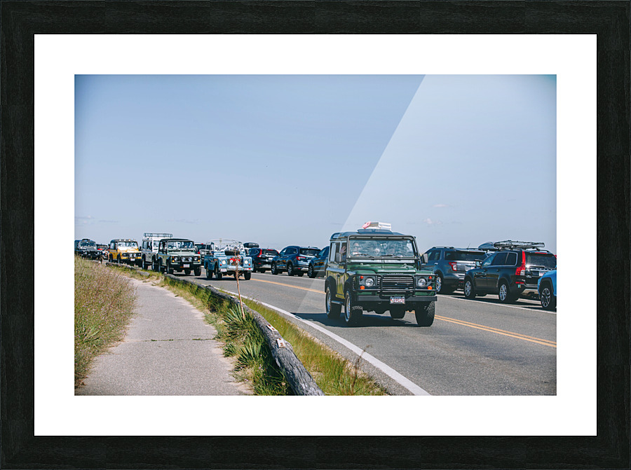 SF1A1063 Picture Frame print