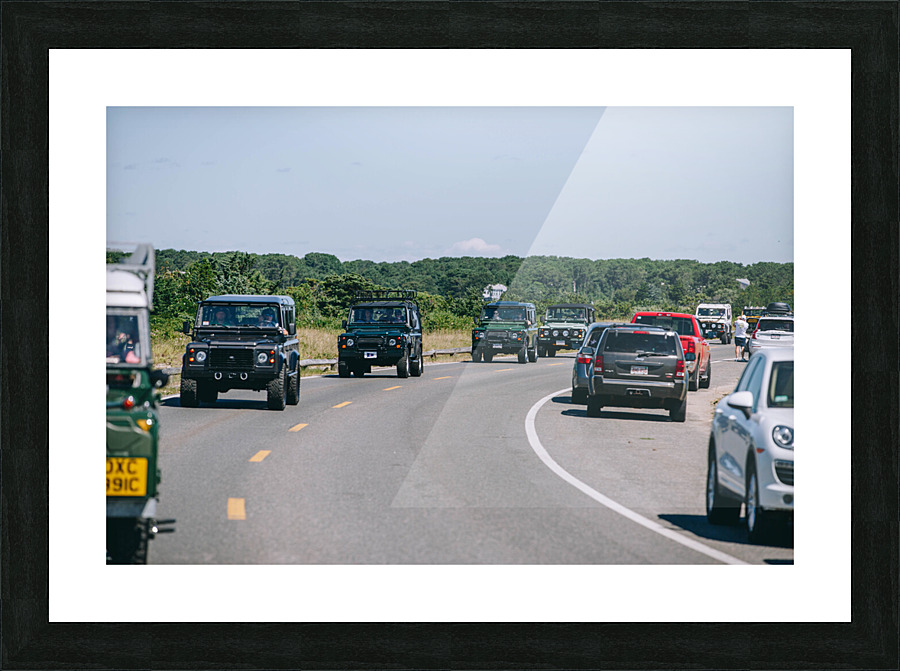 SF1A1030 Picture Frame print