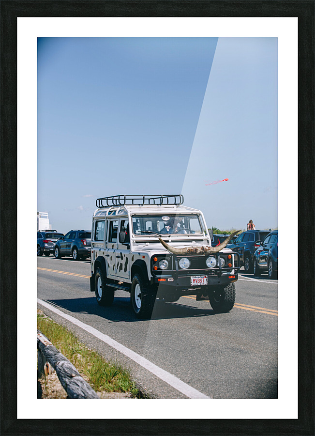 SF1A1078 Picture Frame print