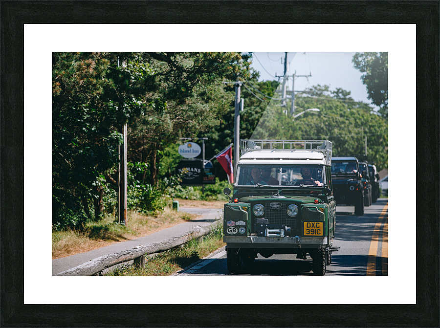 SF1A1008 Picture Frame print