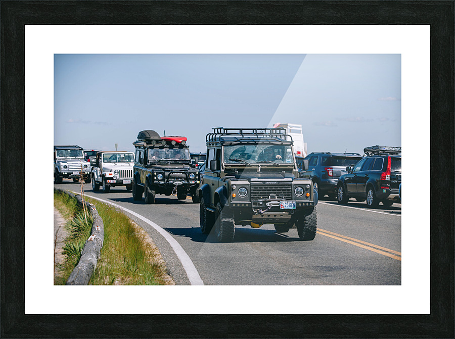 SF1A1107 Picture Frame print