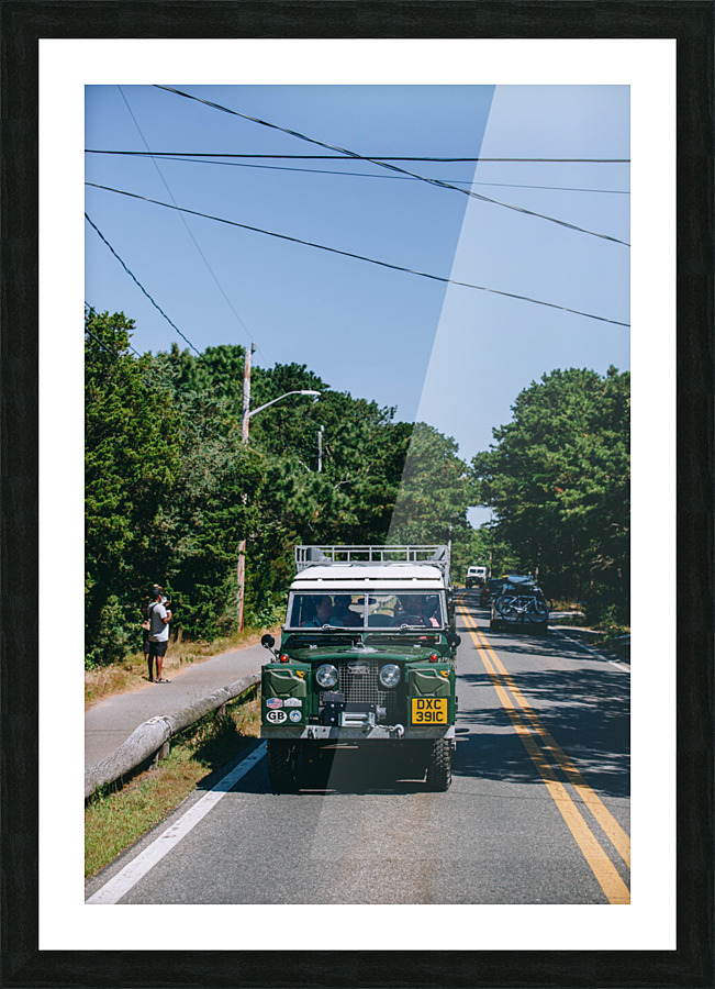 SF1A1020 Picture Frame print