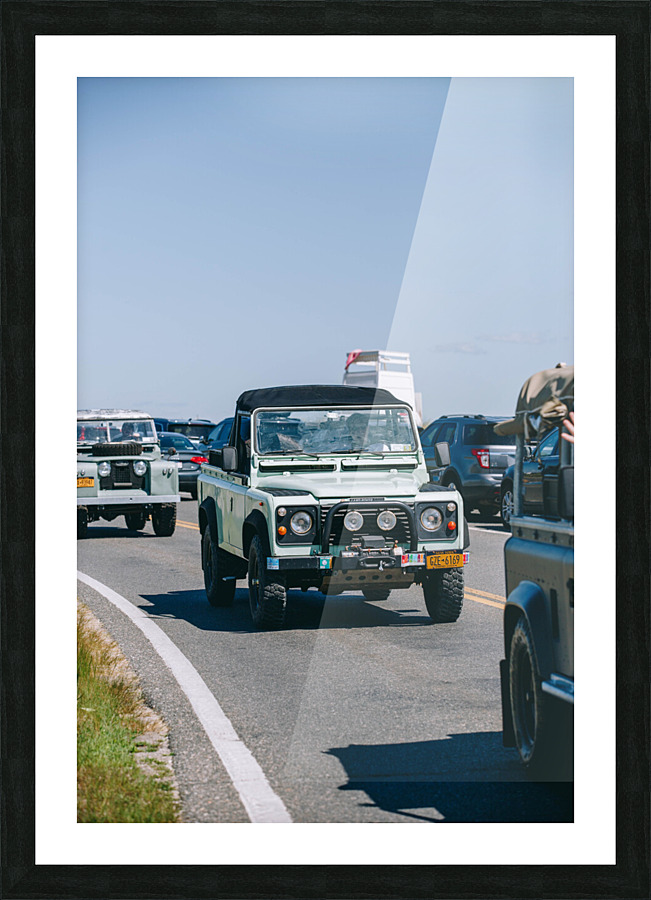 SF1A1117 Picture Frame print