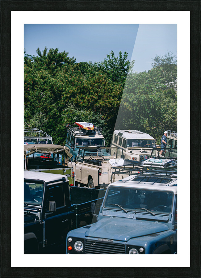 SF1A0976 Picture Frame print