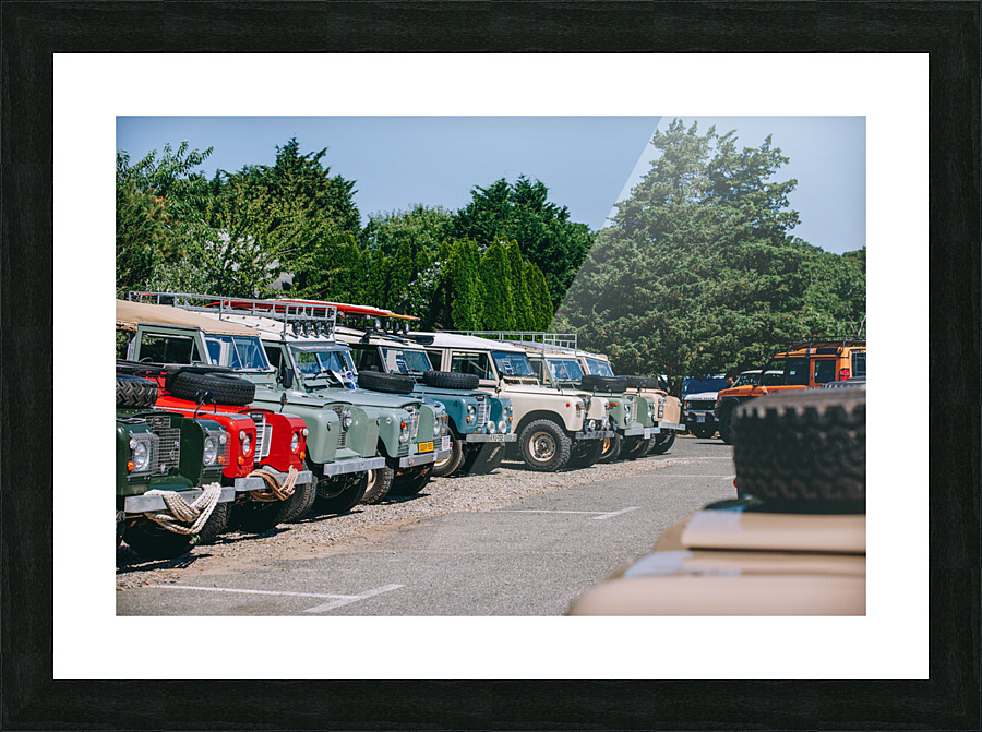 SF1A0986 Picture Frame print