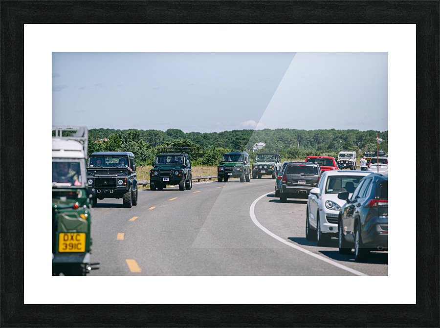 SF1A1031 Picture Frame print