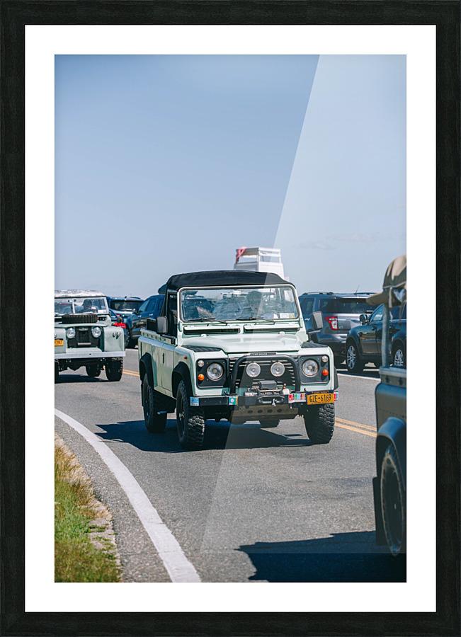 SF1A1118 Picture Frame print