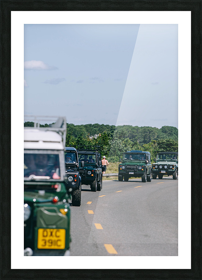 SF1A1032 Picture Frame print