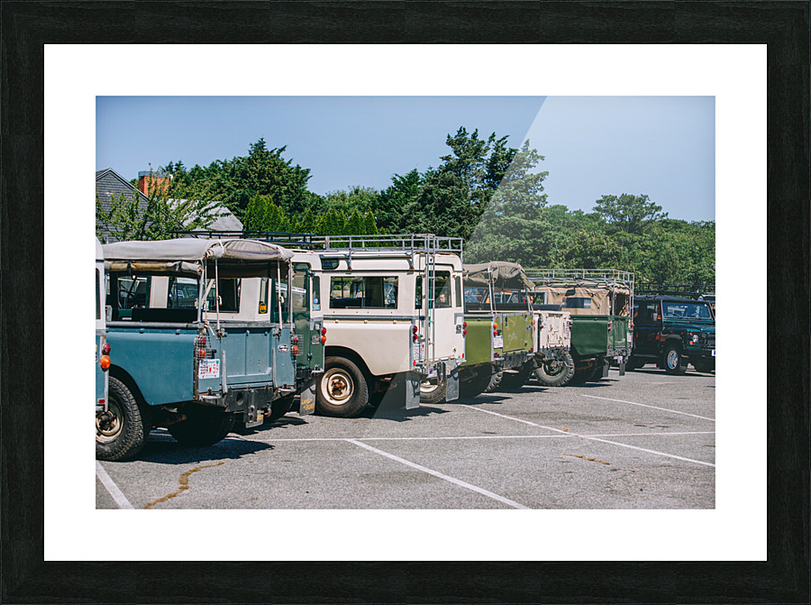 SF1A0991 Picture Frame print