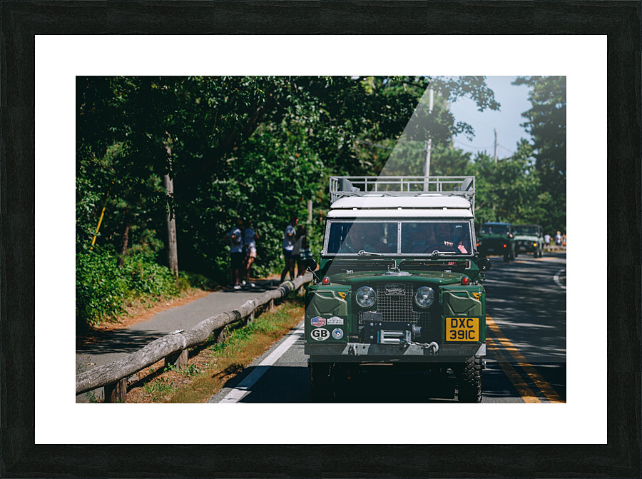 SF1A1016 Picture Frame print