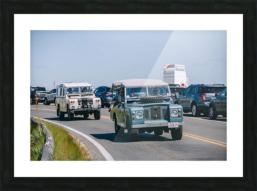 SF1A1099 Picture Frame print