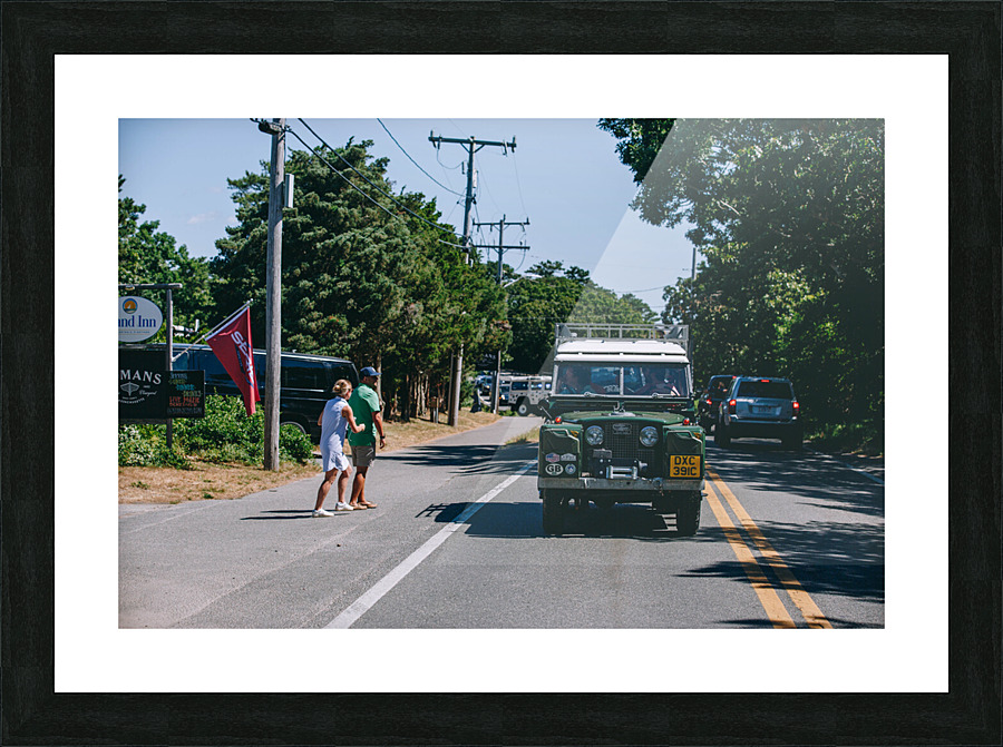 SF1A1005 Picture Frame print