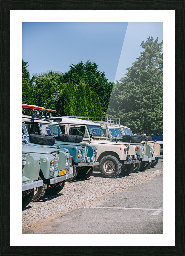 SF1A0982 Picture Frame print