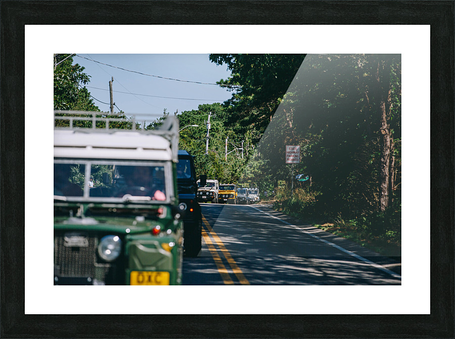 SF1A1023 Picture Frame print
