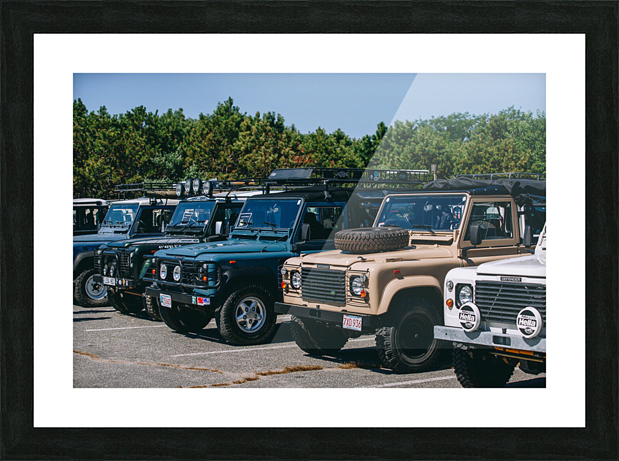 SF1A0996 Picture Frame print
