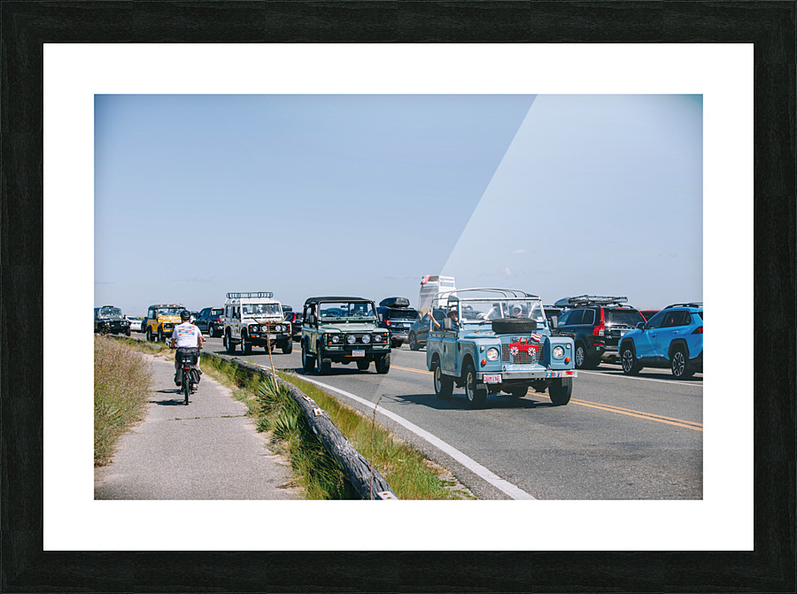 SF1A1069 Picture Frame print
