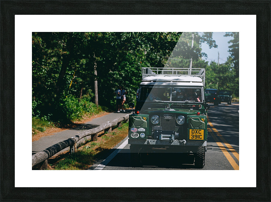 SF1A1017 Picture Frame print