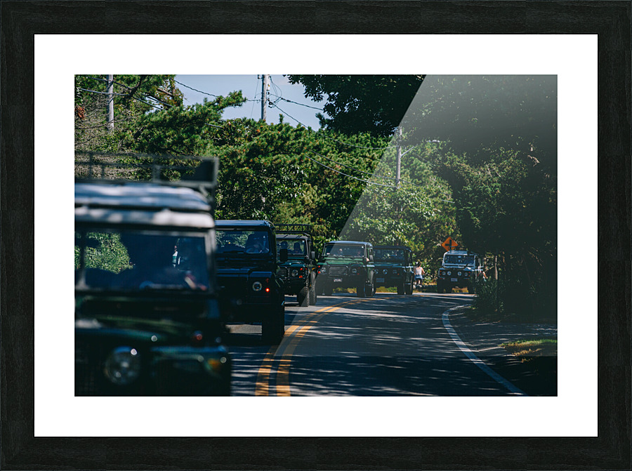 SF1A1011 Picture Frame print