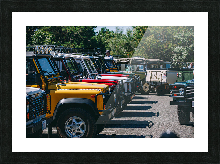 SF1A1000 Picture Frame print