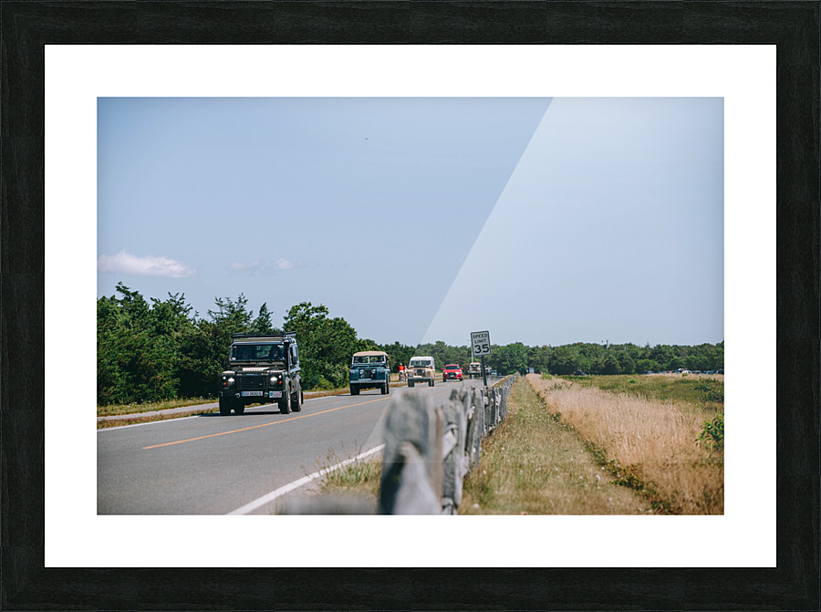 SF1A1219 Picture Frame print