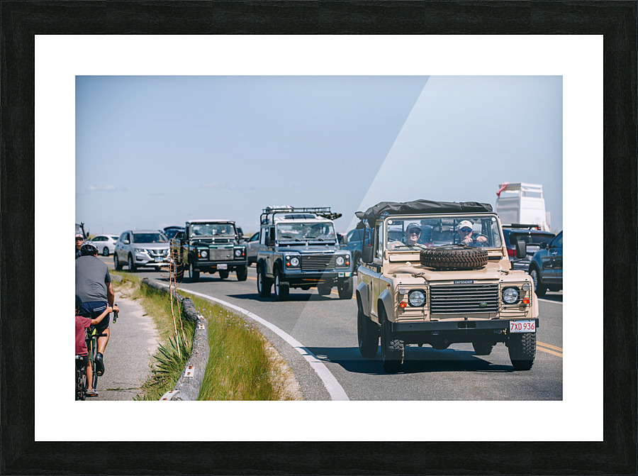 SF1A1147 Picture Frame print