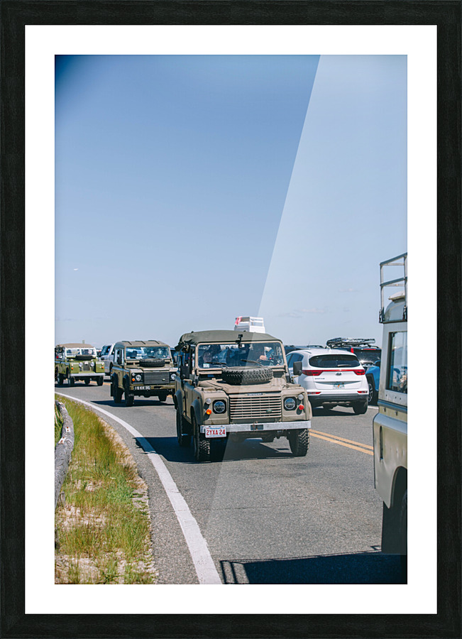 SF1A1134 Picture Frame print