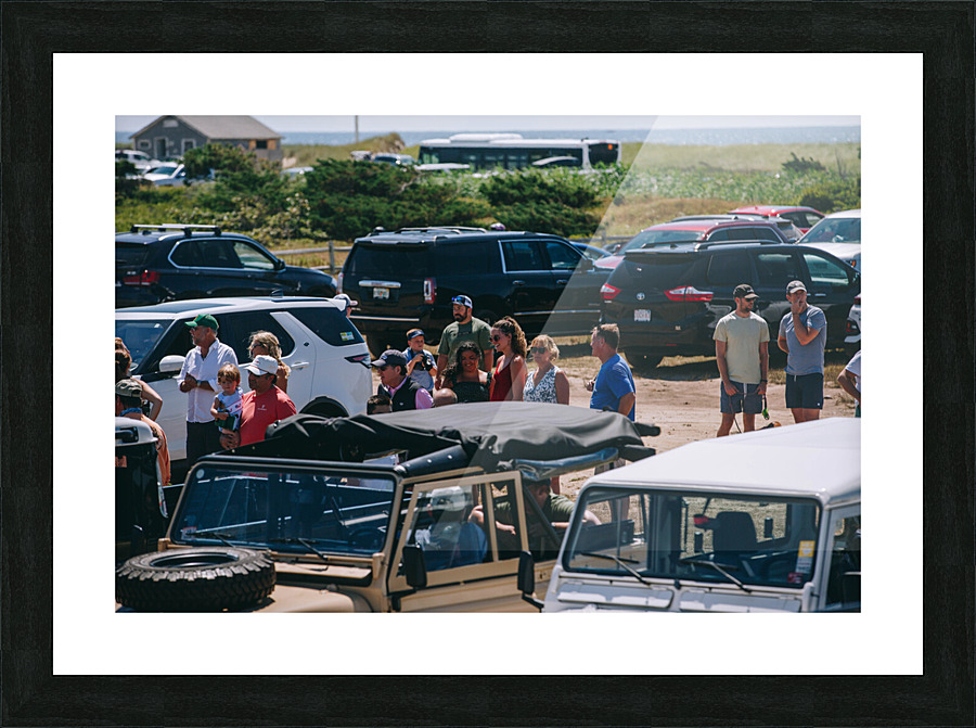 SF1A1328 Picture Frame print