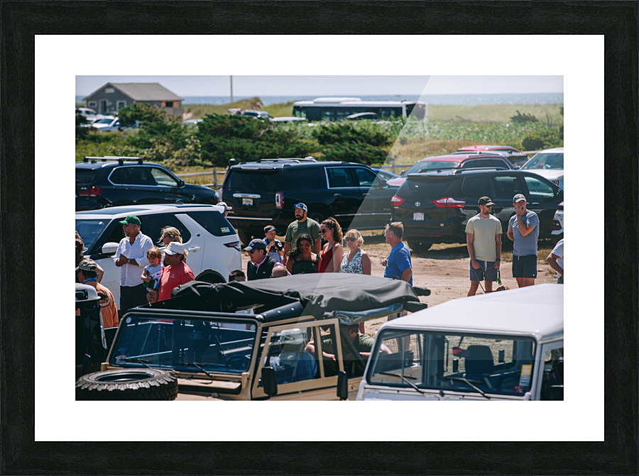 SF1A1327 Picture Frame print