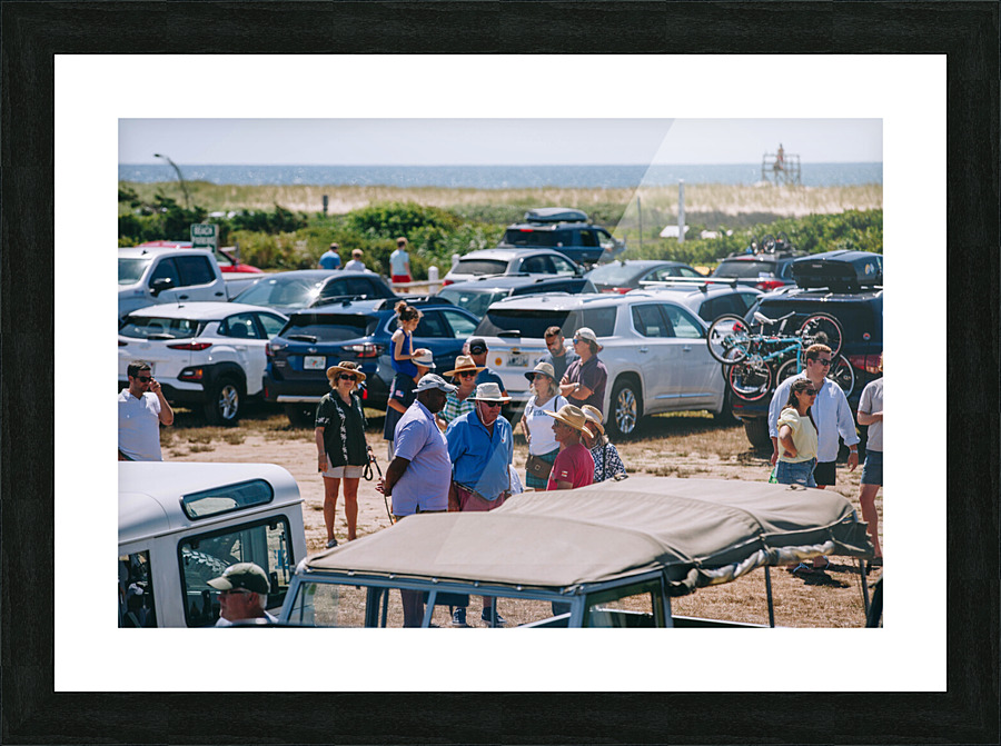 SF1A1330 Picture Frame print