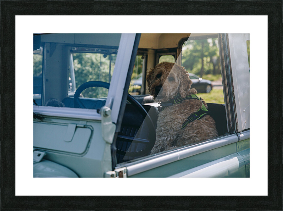 4J3A7360 Picture Frame print