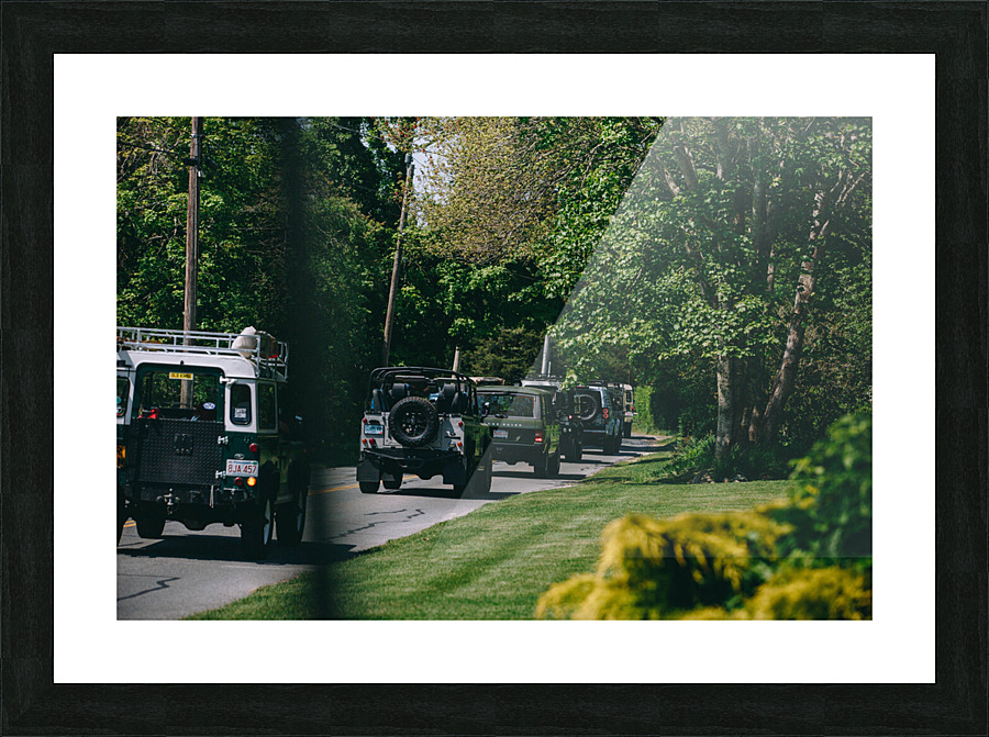 SF1A9386 Picture Frame print