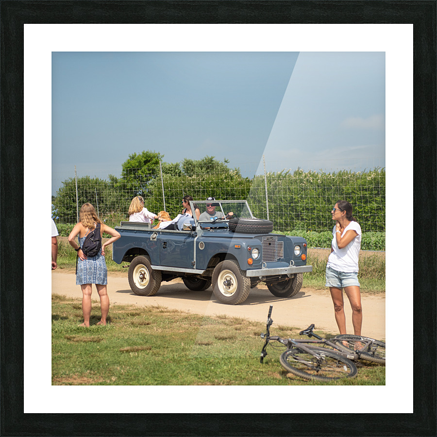 NantucketSeries2022 Vertical 21 Picture Frame print