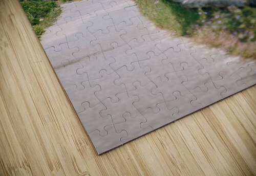 SF1A6832 The Vineyard Series puzzle