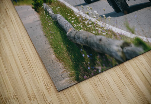SF1A6821 The Vineyard Series puzzle