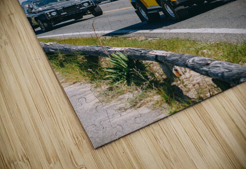 SF1A1082 The Vineyard Series puzzle