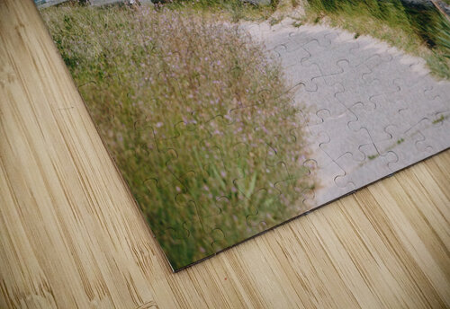 SF1A1089 The Vineyard Series puzzle