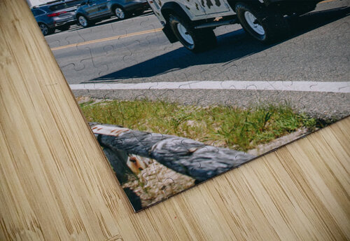 SF1A1078 The Vineyard Series puzzle