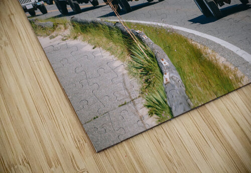 SF1A1101 The Vineyard Series puzzle