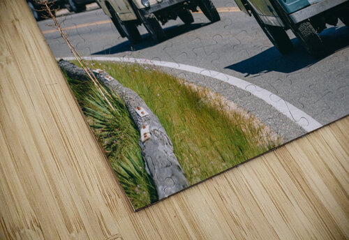 SF1A1099 The Vineyard Series puzzle