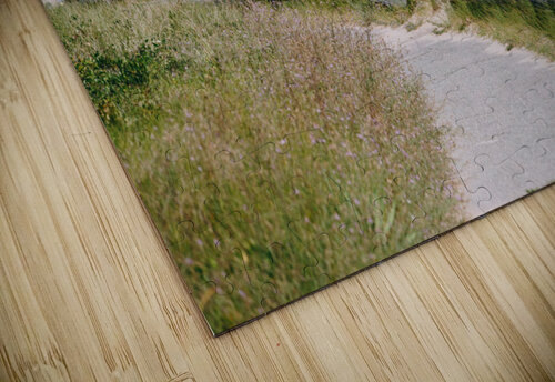 SF1A1091 The Vineyard Series puzzle