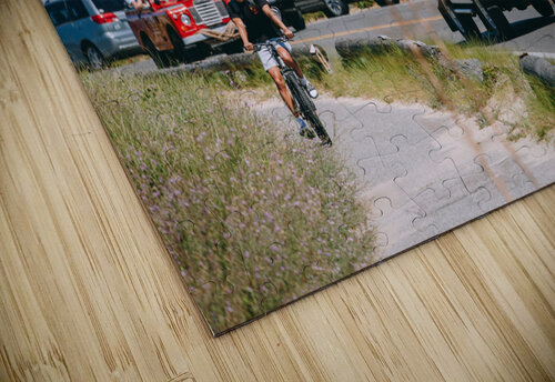 SF1A1151 The Vineyard Series puzzle