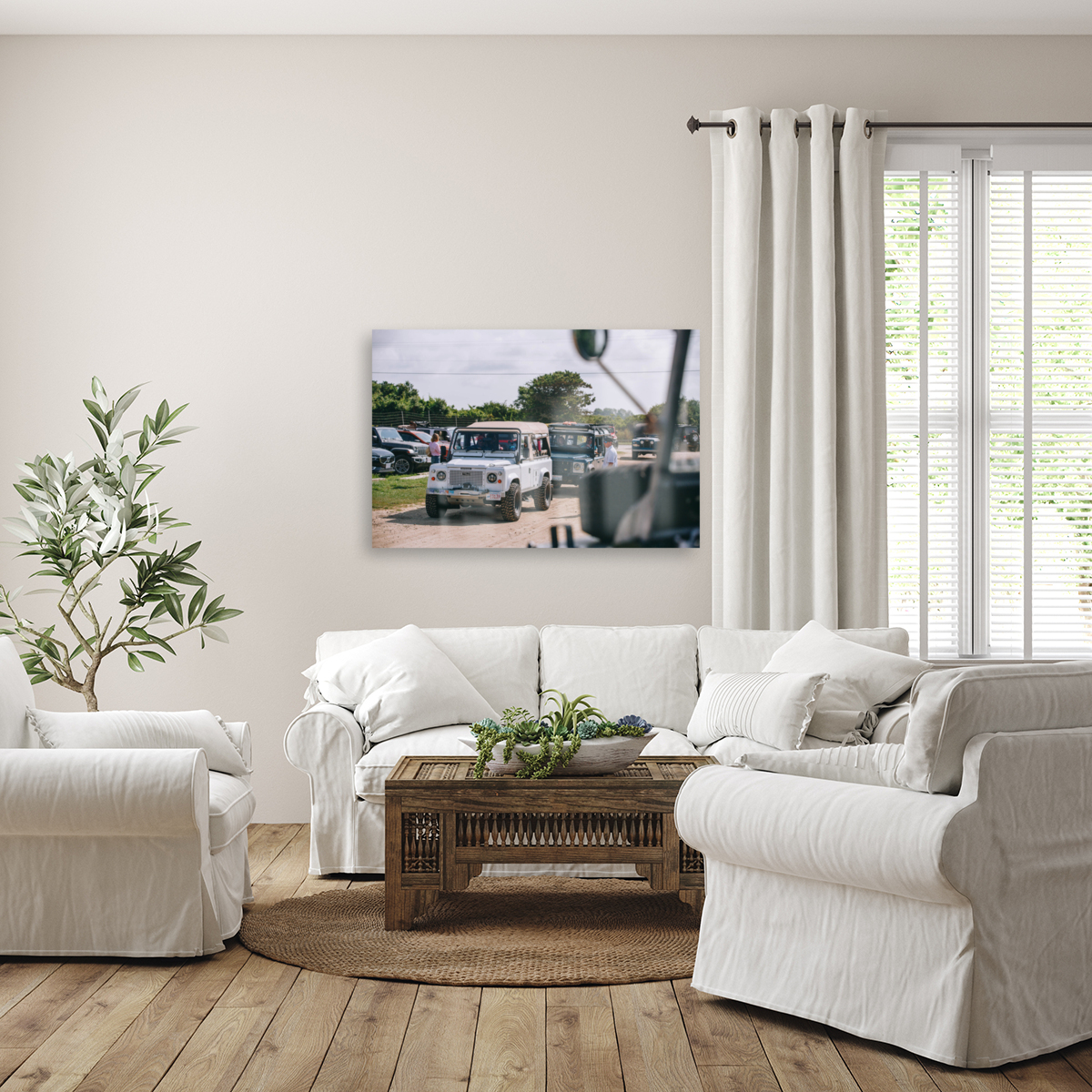 SF1A0252 Reproduction
