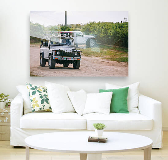 SF1A0122 Reproduction