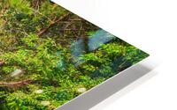 The Vineyard Series HD Metal print