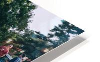 4J3A6590 HD Metal print
